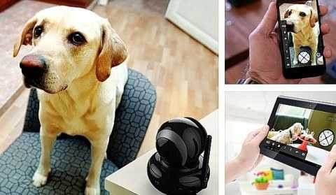 Bạn sẽ không phải lo lắng về những con vật nuôi của mình với thiết bị này