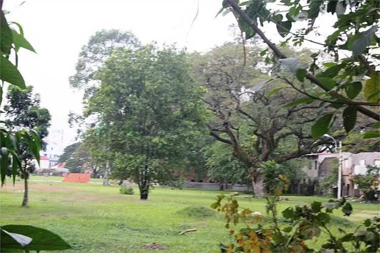 Cụ thể, phần đất công viên Gia Định được sử dụng làm đường vào sân bay sẽ nối đường Hồng Hà với ngã năm Nguyễn Thái Sơn.