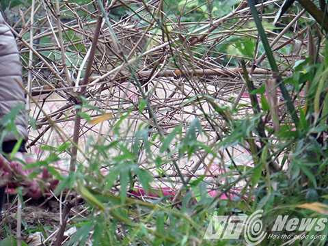 Bàng hoàng tìm thấy thi thể cháu bé nghi bị người tình của mẹ sát hại