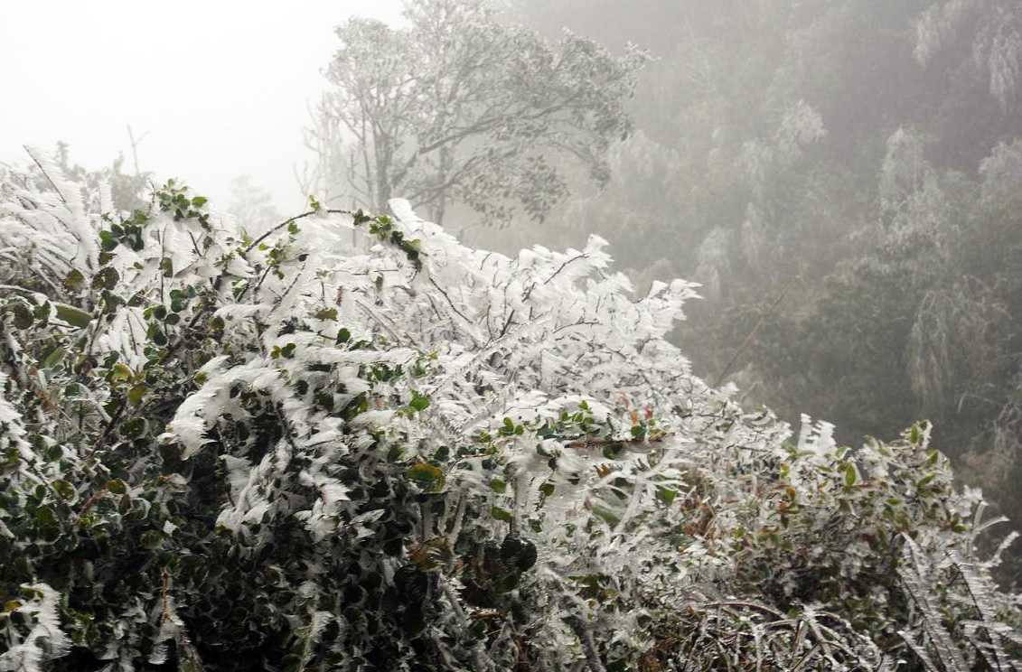 Miền Bắc rét đậm, có khả năng xuất hiện băng giá