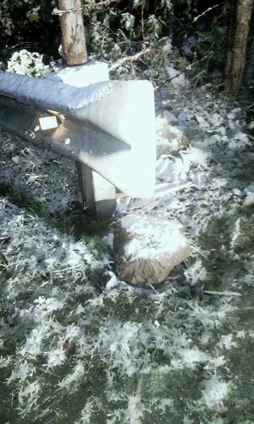 Cận cảnh tuyết rơi phủ trắng ở Sa pa