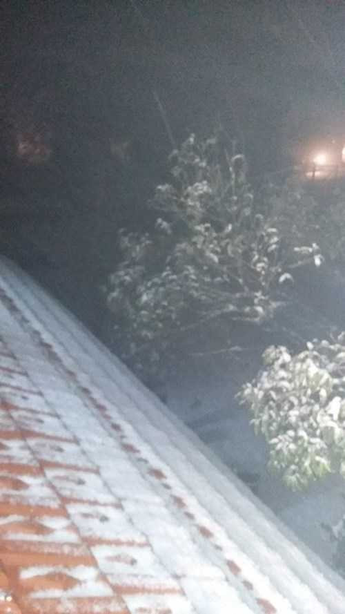 Cận cảnh tuyết rơi phủ trắng ở Sa pa