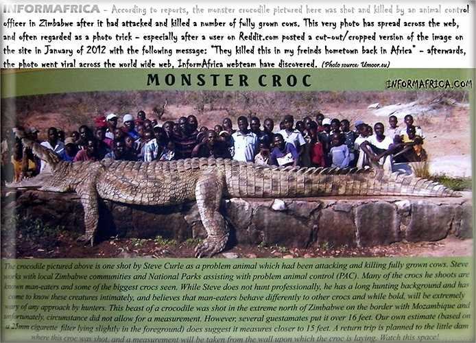 Trong số những loài dưới nước, cá sấu là loài khiến con người sợ hãi nhất, bởi chúng sẵn sàng giết người, xé xác và ăn thịt một cách man rợ. 