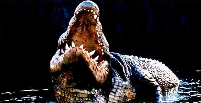 Cá sấu đực Gustave dài đến 7 m, nặng 2 tấn. Người đặt tên cho con cá sấu là ông Patrice Faye người Pháp sống lâu năm ở Burundi. Ông ngiên cứu Gustave từ năm 1998.