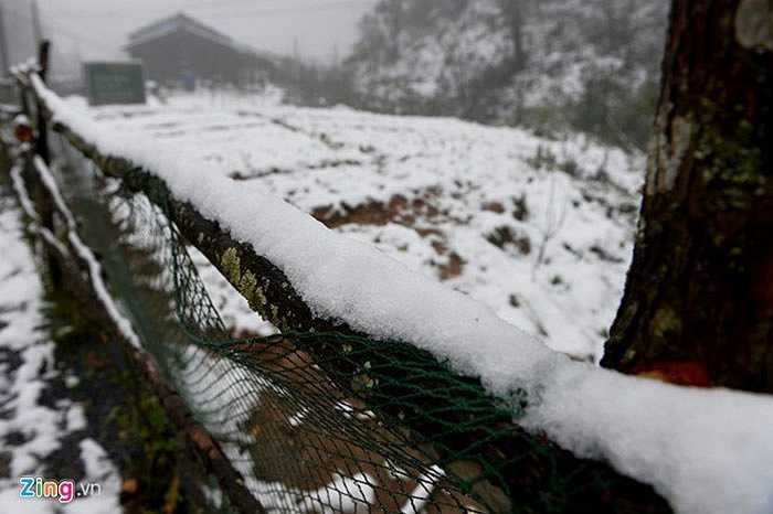 Vườn tược bị phủ trắng, ảnh hưởng đến năng suất hoa màu của bà con nông dân.