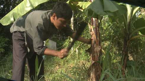 bố ơi mình đi đâu thế phan anh