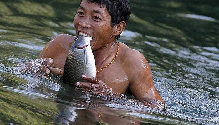 Trước đây, người Naga đánh bắt cá bằng lưới hoặc nghiền lá cây thuốc độc thả vào nước để cá nổi lên nhưng bây giờ họ đã chế được một số loại thuốc nổ thay thế.