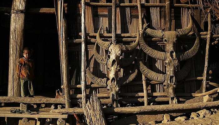 Tuy không còn giữ truyền thống treo sọ của kẻ thù trên vách nhà nhưng người Naga vẫn treo sọ của các con vật mà họ săn được. (Theo Kiến Thức)