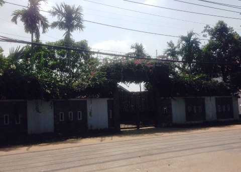 Gấu nhà cắn lìa tay bé trai 3 tuổi: Không ai kiểm tra 'đại gia' nuôi gấu?