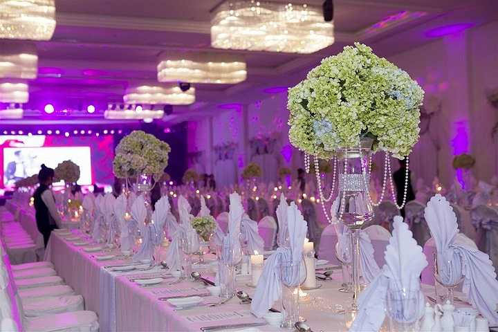 Không gian tràn ngập màu trắng tinh khôi