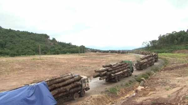 Hàng trăm xe tải 'nằm chết' ở cửa khẩu vì công văn