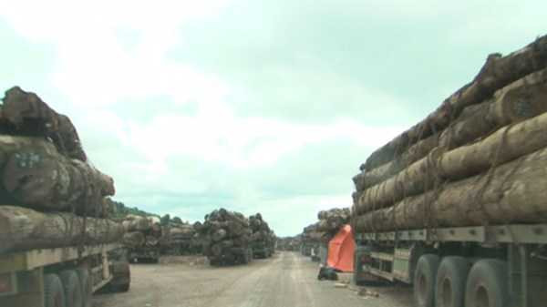 Hàng trăm xe tải 'nằm chết' ở cửa khẩu vì công văn