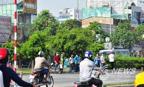 Khiếp vía cảnh ‘giỡn mặt tử thần’ ở đường đẹp nhất ở TP.HCM