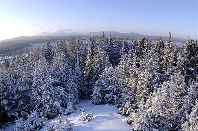 Mùa đông ở Khu bảo tồn thiên nhiên Denezhkin Kamen