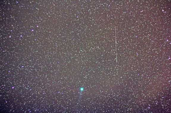 Hình ảnh từ Rogus 