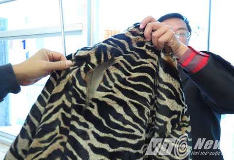 bị đánh hội đồng, nhập viện tâm thần, Dương Kinh, Hải Phòng