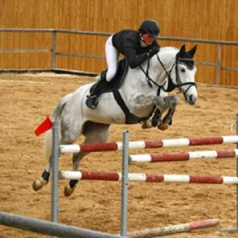 công việc kỳ lạ có lương cao ngất ngưởng