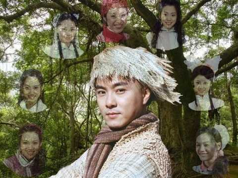 vi tiểu bảo trương vệ kiện