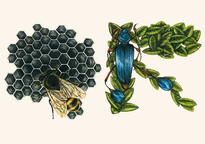 Paula đã mất 2 năm để hoàn thành bộ chữ cái này. Chữ Q, R