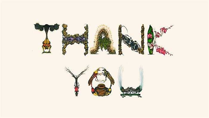 Lời cảm ơn được ghép từ những chữ cái côn trùng