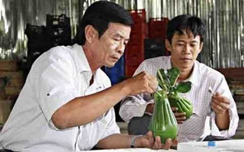 Cận cảnh bưởi bàn tay Phật giá 600.000 đồng/trái