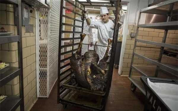 Đại gia đãi tiệc: Cá sấu nguyên con, gián nướng… lên mâm