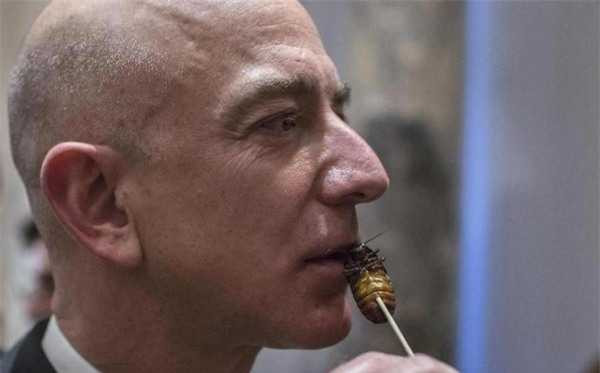 Đại gia đãi tiệc: Cá sấu nguyên con, gián nướng… lên mâm