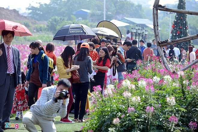 Một người làm vườn ở đây cho biết, không chỉ thứ bảy, chủ nhật, các buổi chiều hàng ngày cũng khá đông khách đến chơi. Giá vé vào vườn đắt gấp 2 đến 3 lần so với các địa điểm trồng hoa khác với 80.000 đồng/người chưa kể tiền gửi đồ và xe máy, ô tô. 