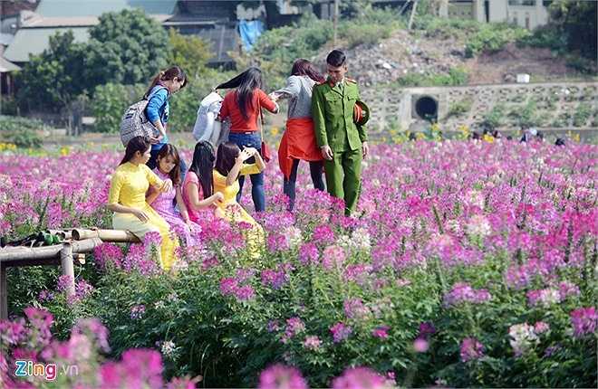 Nhờ tận dụng được bề rộng của đầm sen cũ mà nơi đây đẹp rực rỡ, rộng mênh mông.