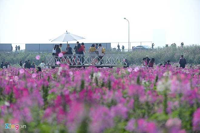 Giữa 12h trưa nắng, nhưng nhiều người vẫn cố nán lại ghi thêm những bức ảnh đẹp. 