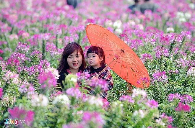 Chủ vườn còn cho thuê thêm đạo cụ để làm đẹp cho bức ảnh. Từ trẻ con đến người lớn đều có thể chọn lựa để tạo dáng với hoa.