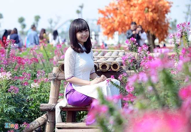 Ngay bên cạnh vườn hoa túy điệp là hoa bướm, hoa cúc, hoa hướng dương, hoa cải... 