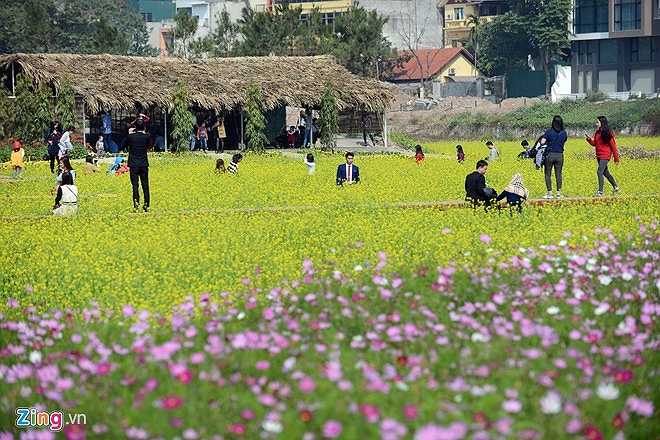 Với việc làng hoa Tây Hồ ngày càng được các chủ đầu tư trồng hoa chủ yếu để thu phí chụp ảnh mà không cần quan tâm đến bán hoa, nhiều người có cảm giác nơi đây sắp thành một tổ hợp công viên vườn hoa quy mô lớn của Thủ đô. 