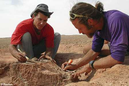 Nhà khảo cổ học