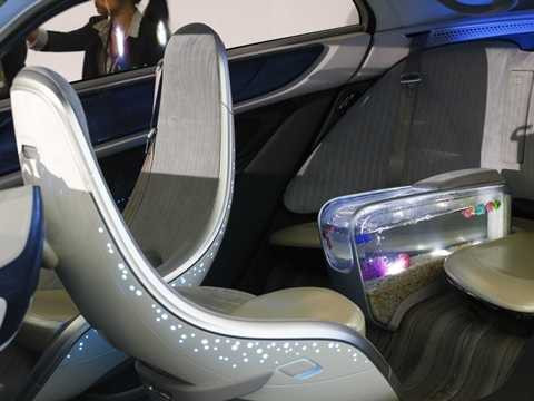 witstar trang bị bể cá vàng