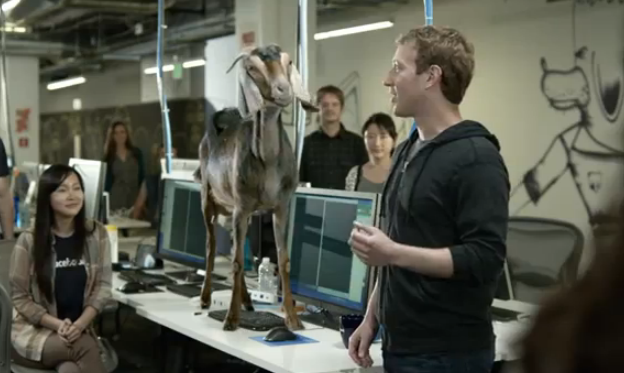 10 lý do khiến nhân viên Facebook yêu quý ông chủ của mình