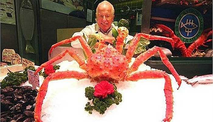 Các nhà khoa học ghi nhận cua nhện Thái Bình Dương là loài lớn nhất thế giới từng được biết đến. Loài cua khổng lồ này sống ở đáy biển phía Nhật Bản, nên đôi khi nó còn được gọi là cua nhện Nhật Bản. 