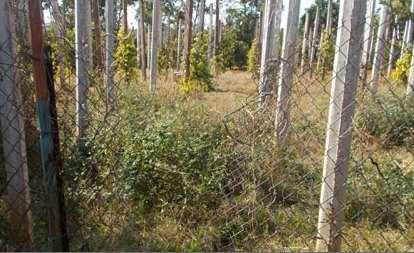 Thảm sát nhiều người trong gia đình: Triệu tập một số đối tượng lấy lời khai