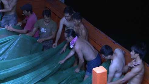 đánh cá bố ơi mình đi đâu thế 