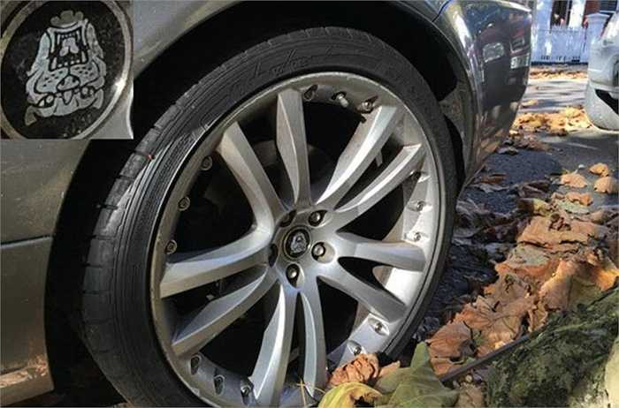 Camera của iPhone 6 plus có chất lượng mô phỏng màu sắc rất cao.