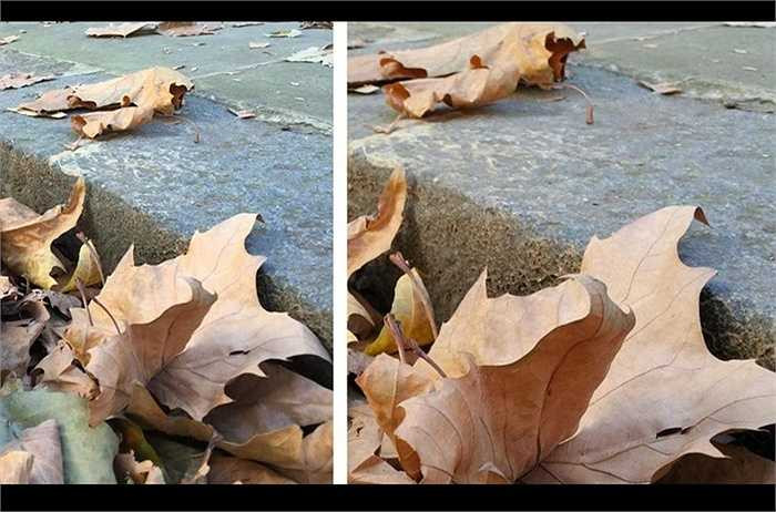 Hình ảnh chụp bởi iPhone 6 plus (trái) và Note 4 ( phải). Note 4 bắt nét nhiều chi tiết hơn và chụp hình ảnh tổng quát hơn.