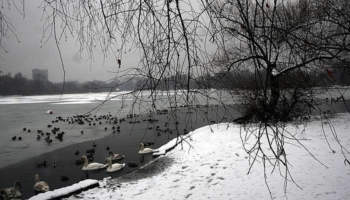 Nước hồ trong công viên Prospect đã đóng băng 