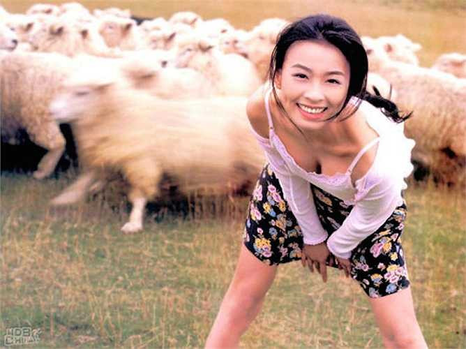 Trương Đình sinh năm 1970 tại Đài Loan, Trung Quốc. Năm 18 tuổi, cô bắt đầu bước chân vào giới giải trí và làm người mẫu ảnh quảng cáo sản phẩm.