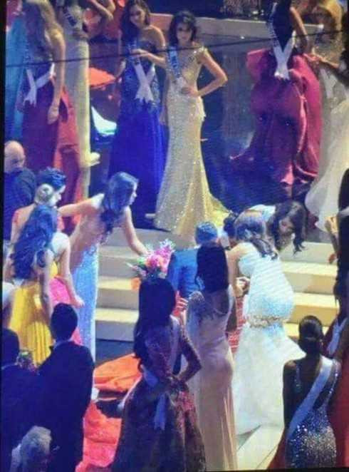 hoa hậu pueto rico