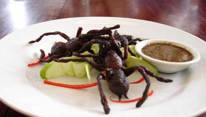 Các món ăn từ nhện Tarantulas - Campuchia Người ta cho rằng, món ăn này xuất phát từ thực tế cuộc sống vô cùng thiếu thốn của người dần Campuchia từ những năm 1970 và họ phải chế biến loài nhện Tarantulas thành thức ăn cho mình. Mặc dù người ta đảm bảo có những nguyên liệu chế biến có thể trung hòa được nọc độc của loài nhện, tuy nhiên, không thể chắc chắn 100% là nguy hiểm sẽ không xảy ra với thực khách