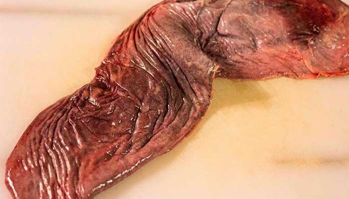 Vastedda: Italia Các nhà hàng lớn ở Italia phục vụ món ăn này. Nó được làm từ lá lách của các loài động vật. Chúng được kẹp vào bánh sandwich và ăn kèm với các loại pho-mát. 