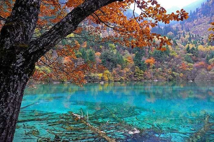 Hồ Năm Hoa (Five Flower) tại Khu thắng cảnh Cửu Trại Câu, Jiuzhaigou, Trung Quốc