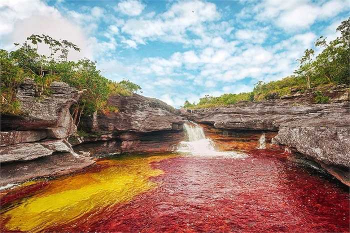 Con sông Cano Cristales - Con sông Năm màu sắc tại Columbia