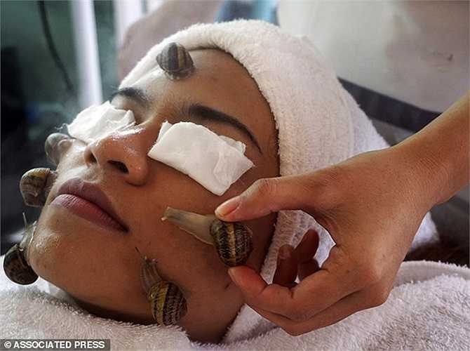 Môt cơ sở massage mặt bằng ốc sên vừa được khai trương tại Chiangmai (Thái Lan)