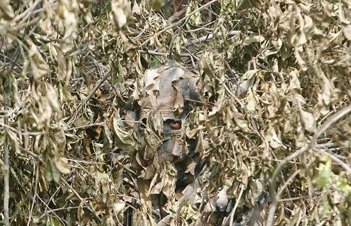 Binh lính Nicaragua gần như tàng hình trong bụi cây